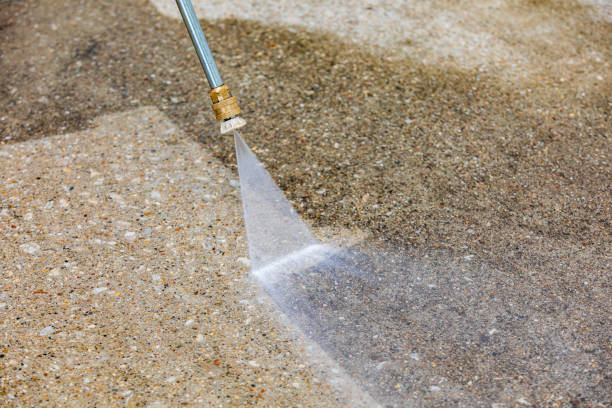 Animal Enclosure Cleaning in Arbuckle, CA